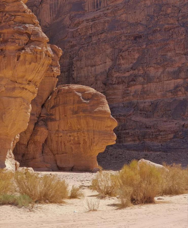 Star Rum Wadi Rum Luaran gambar